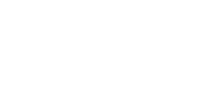 ACE Developers